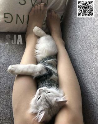 国产一级精品免费在线观看播放_高清在线播放观看