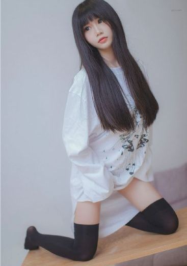 动物视频素材免费下载网站_BD免费观看