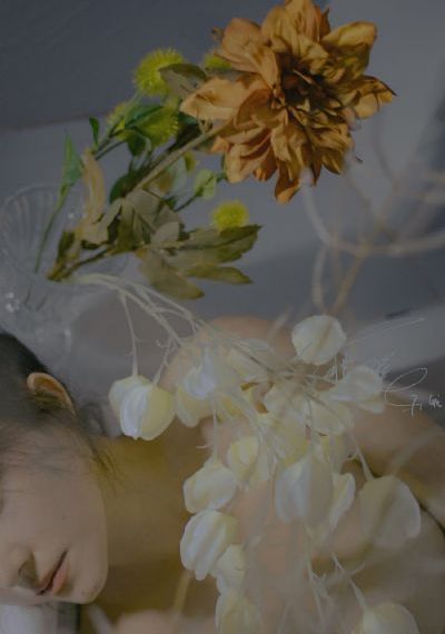 精品videosexo性少妇_HD在线视频观看